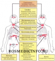 Шпаргалки по эндокринологии в картинках
