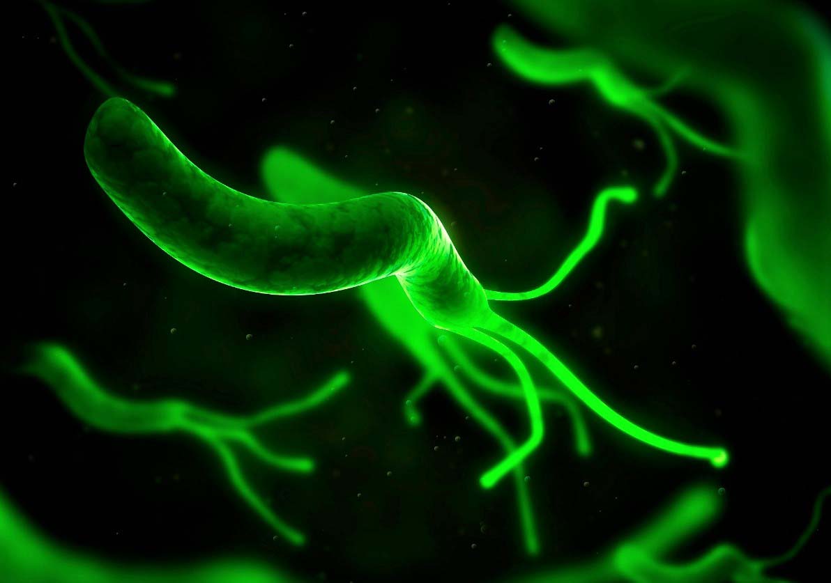 Ответы к тестам НМО: "Правила проведения эрадикационной терапии Helicobacter Pylori"