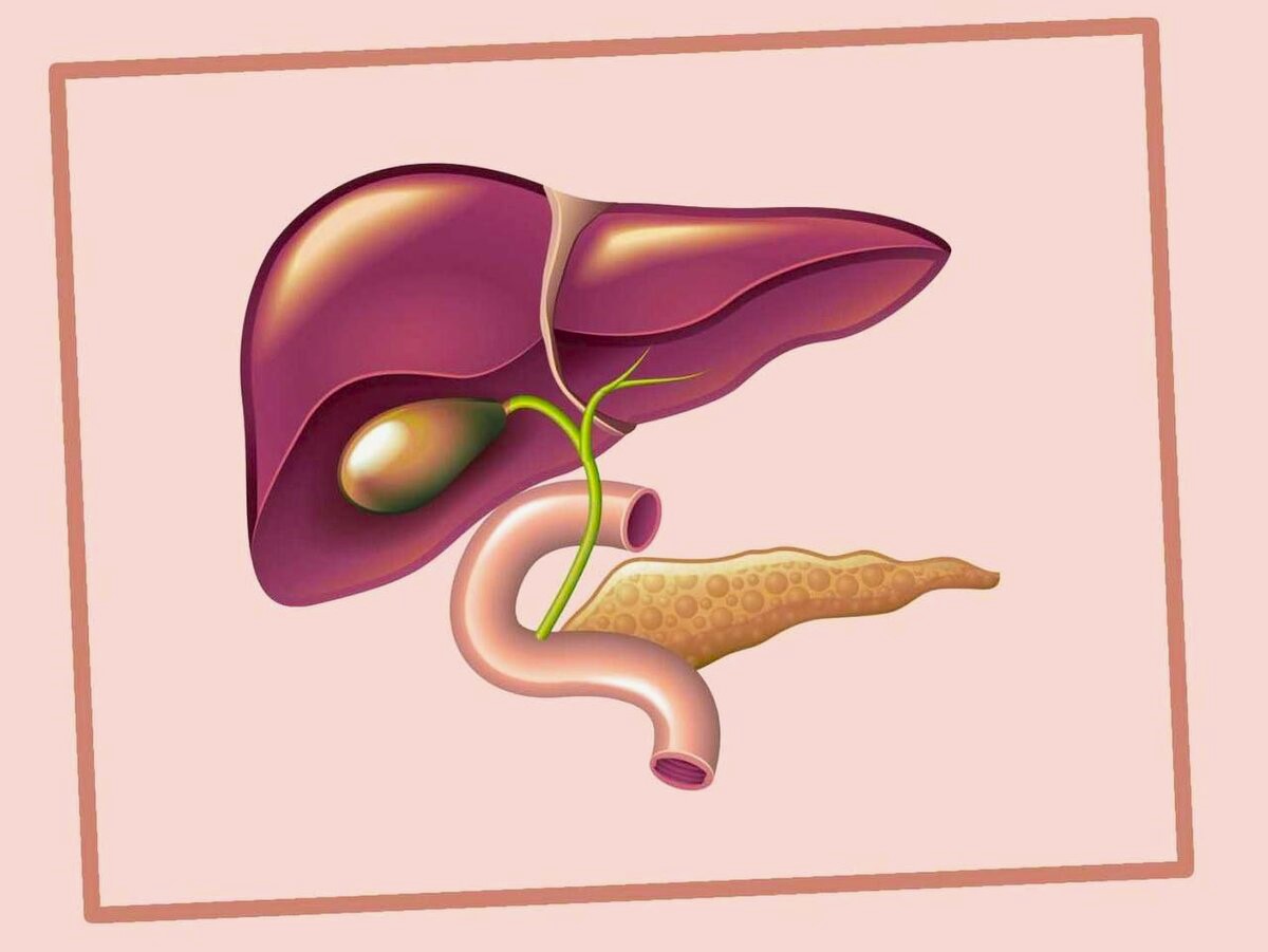 Симптомы болезни желчевыводящих путей